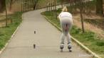 Roller skate contest