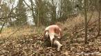 Filthy pig
