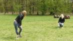 Badminton in park