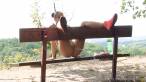 Pissing scene