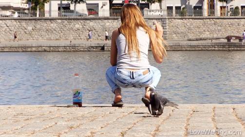Feeding the swans