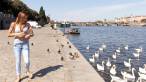 Feeding the swans