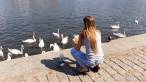 Feeding the swans