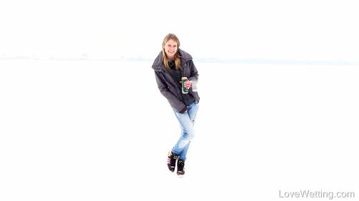 Snow fields