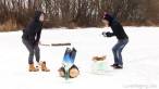 Frozen fun