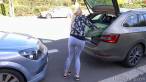 Loading the trunk