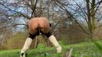 Pissing scene