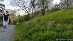 Spring Evening