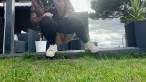 Pissing scene