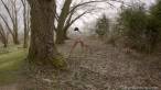 Pissing scene