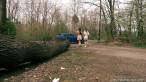 Pissing scene