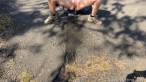 Pissing scene
