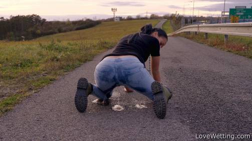 Vanda - Highway Star Ii